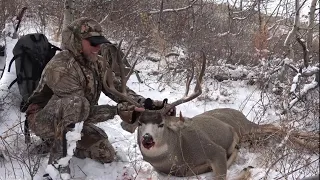 TOP 3 GIANT MULE DEER BUCKS SHOT ON VIDEO! - (compilation)