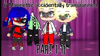 If Marinette accidentally transformed// Part 1-11/ Enjoy!