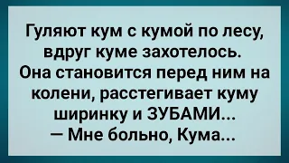 Кума Расстегнула Куму Ширинку и ЗУБАМИ! Сборник Веселых Анекдотов! Юмор!