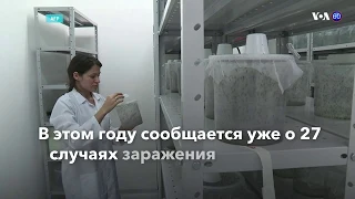 Новости США за минуту — 24 сентября