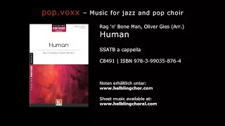 Rag 'n' Bone Man / Oliver Gies (Arr.) - Human