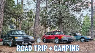 We Took Our Saab 900’s Car Camping!