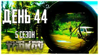 Escape from Tarkov. Way from the bottom 5. Day 44