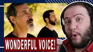 Serj Tankian - Amber (Official Video) - Feat. Sevak Amroyan REACTION - TEACHER PAUL REACTS