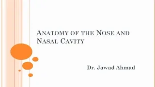 Detailed Anatomy of the Nose and Nasal Cavity 1