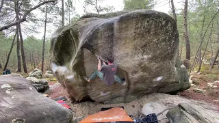 Baloo 7B / Maunoury / Fontainebleau