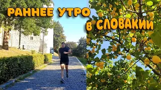 СЛОВАКИЯ/УТРО В СЛОВАКИИ/ПЕРЕЕЗД