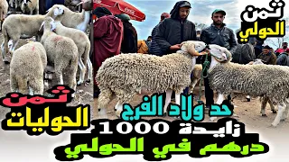 اليوم من سوق حد ولاد الفرج جبت لكم ثمن الحولية تبدا من 500 درهم عيد الاضحى 2023