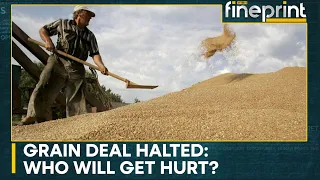 Russia withdraws from Ukraine grain deal, millions to face food shortage | WION Fineprint