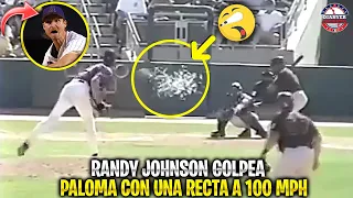 The day RANDY JOHNSON hit a pigeon in the middle of the game