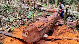 Takjub Kayu Ulin yang terpandam‼️ Kami olah sempurna tanpa sisa menggunakan Chainsaw 070