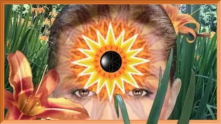 Instant Third Eye Stimulation II • M1• (Warning: Very Powerful!)