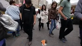 Watch New Yorkers Freak Out Over Pizza Rat Prank