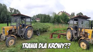 poranne koszenie trawy ☘️ widły, grabie polska wieś ❤️  [Agro Vlog #5] RzP