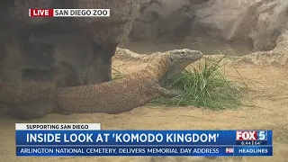 New Komodo Kingdom Habitat Opens At San Diego Zoo