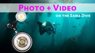 Photo & Video on the Same Dive