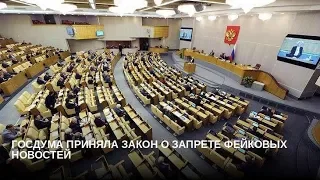 Наказание за фейковые новости и неуважение к власти