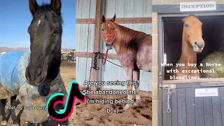 The Best HORSE TikTok Compilation 2022 #77