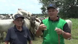 Fazenda Oiticica abre em maio calendário de leilões na pecuária