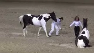 Tommie Turvey Liberty Horse Act - Night of the Horse 2015 - Del Mar National Horse Show