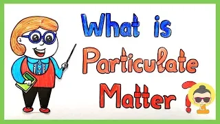 Casually Explained : Particulate Matter(PM)