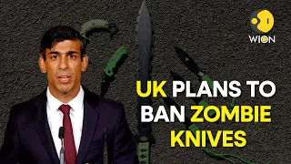 Why is the UK planning to ban zombie knives & machetes? | WION Originals