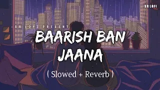 Baarish Ban Jaana - Lofi (Slowed + Reverb) | Payal Dev, Stebin Ben | SR Lofi