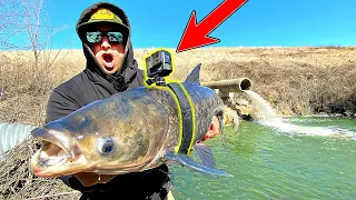 GoPro Strapped to DANGEROUS Fish!! (Underwater Footage!)
