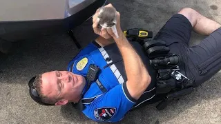 Rescue kittens can’t stop cuddling with the police officer who saved their lives