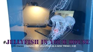 Jellyfish in your house