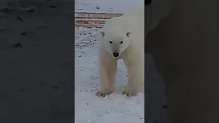 остров средний