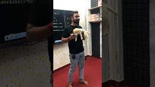 Cute Puppy in LIVE CLASS!! 😂😅  Aditya Ranjan Sir Maths #shorts  #dog #puppy #viral