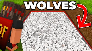 Breeding 1,029 Wolves to Kill One Minecraft Player...