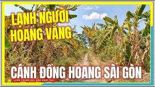 LẠNH NGƯỜI HOANG VẮNG ! LẠC VÀO CÁNH ĐỒNG HOANG SÀI GÒN | Quốc Lộ 50 Bình Chánh Vùng Ven Sài Gòn