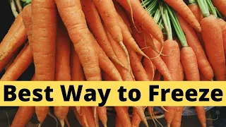 Best Way to Freeze Fresh Carrots | 5 Easy Steps