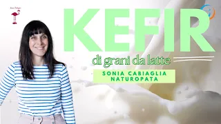 KEFIR di grani da latte - Sonia Cabiaglia Naturopata