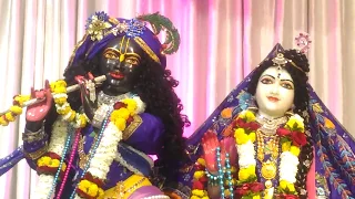 Sringar Darshan of Shri Shri Rukmini Dwarkadhish, ISKCON Amravati. Date 18/Feb/2018