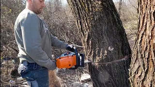 stihl ms 261c