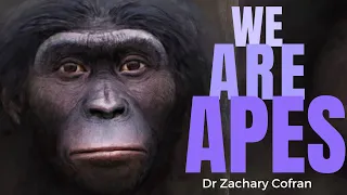 Humans Are Apes (& Here's Why) ~ with Anthropologist ZACHARY COFRAN