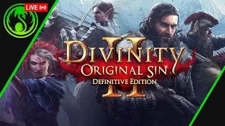 [Divinity: Original Sin 2]  Прочесывание лесов