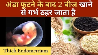 अंडा फूटने के बाद 2 बीज खाने से गर्भ ठहर जाता है  | Seeds for implantation | YOUTUBE SAHELI