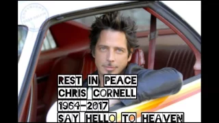 Chris Cornell (R.I.P.) - Like A Stone (Acoustic, Live in Sweden) BEST HD AUDIO