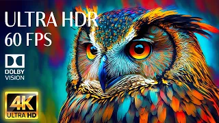 4K HDR 60fps Dolby Vision with Animal Sounds & Calming Music (Colorful Dynamic) #3