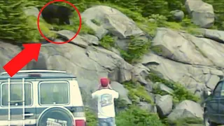 15 SCARY Bear Encounters if You Haven't Seen in 2021