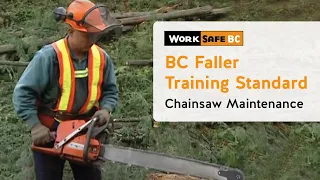 BC Faller Training Standard - Chainsaw Maintenance (3 of 17)