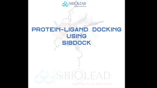 How to perform a simple protein-ligand docking using SiBDOCK module @ SiBIOLEAD