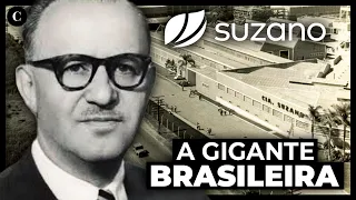 Suzano: a MAIOR produtora de celulose do MUNDO