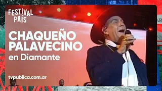 El Chaqueño Palavecino en Diamante - Festival País 2023