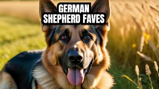 7 Signs You Are a German Shepherd's Favorite Person