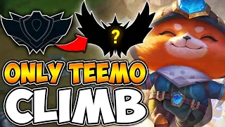 TEEMO RANKED CLIMB - ZWAG